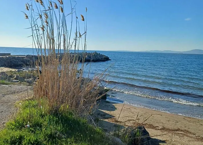 европа юг Kemp